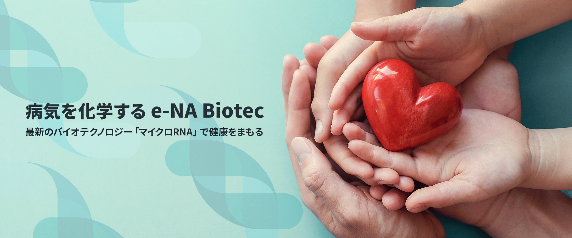 病気を化学するイーエヌエイバイオテック